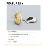 925 Silver Geometric Hoops Earrings for Women