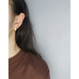 Minimalist S925 Silver Small Hoop Earrings Brushed Surface Piercing Ear Jewelry