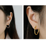 Geometric Hollow Irregular S925 Silver Earrings