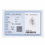 925 Sterling Silver Butterfly Zircon Charm for Bracelet