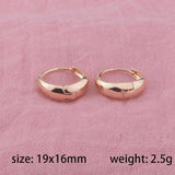 FJ 6mm Women Girls 585 Rose Smart Hoop Daily Earrings