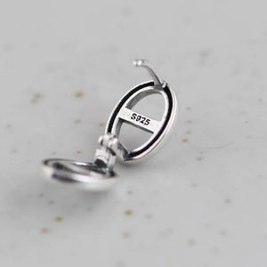 925 Silver Earrings Women Jewelry S925 Sterling Silver Stud Earring