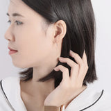 Star Moon Earrings 925 Silver Zircon Studs