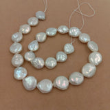 Freshwater Pearl Beads, 12-14mm Round Coin, Full Hole Drilled
