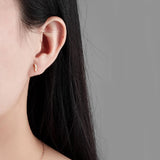 Silver 925 Zircon Stud Earrings for Women Wedding Party