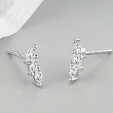 Silver 925 Zircon Stud Earrings for Women Wedding Party