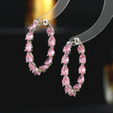 Water Droplet CZ Earrings S925 Silver Inside/Outside Circles Zircon Inlay