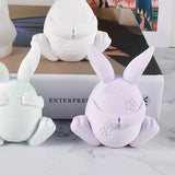 DIY Face-less Rabbit Mold - Cover Eyes Mouth Ears Rabbit Mold