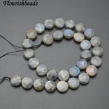 Labradorite Flat Round Coin Stone Loose Beads 10mm 12mm 14mm