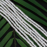 Natural Freshwater Pearl Strand 3.5-4mm Button Shaped Flat Round