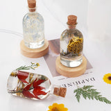 Fairy Bottle Shape Lamp Resin Mold LED Bulb Silicone Epoxy Kit