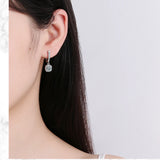 S925 Silver Drop Earrings Crystal Dangle Jewelry Gift FQL21228
