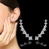 S925 Silver CZ Zircon Clip Earrings Gift For Girl FQL22149