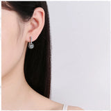 CZ Zircon Hoop Earrings 925 Silver Needle FQL21249