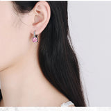 925 Silver Princess Crystal Earrings FQL21014