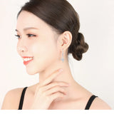 925 Silver Needle Princess Spiral Crystal Drop Earrings For Women Jewelry
