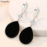 925 Silver Zircon Water Drop Earrings for Women FQL21538