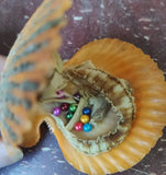 10 Akoya Mini Monsters 3-4MM Pearls in Shells, Multiple Oysters FP478
