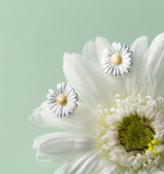 925 Sterling Silver Daisy Flower Stud Earrings Women Jewelry