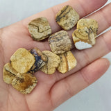14mm Picture Stone Double Flat Bottom Beads for Jewelry Making 12PC