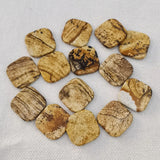 14mm Picture Stone Double Flat Bottom Beads for Jewelry Making 12PC