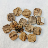 14mm Picture Stone Double Flat Bottom Beads for Jewelry Making 12PC
