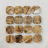 14mm Picture Stone Double Flat Bottom Beads for Jewelry Making 12PC