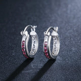925 Silver Zircon Crystal Round Earrings Women Glamour Jewelry Gift