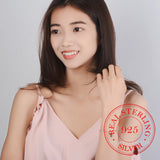 925 Silver Crystal Charm Bracelet For Women, Prevent Allergy