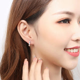 925 Silver Heart Zircon Earrings Small Earrings For Women Jewelry