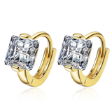 925 Silver CZ Inlaid Earrings Woman Charm Jewelry