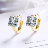 925 Silver CZ Inlaid Earrings Woman Charm Jewelry