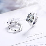 925 Silver CZ Inlaid Earrings Woman Charm Jewelry