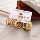 Leopard Print Circle Wide Hoop Earring Set for Women
