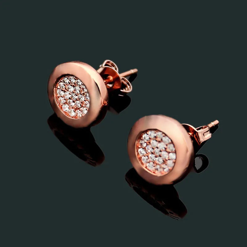 Charm Zircon Stainless Steel Earrings Gift