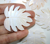 Natural Shell Carved Leaves Pendant for DIY Jewelry Making 6PCS