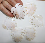 Natural Shell Carved Leaves Pendant for DIY Jewelry Making 6PCS