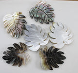 Natural Shell Carved Leaves Pendant for DIY Jewelry Making 6PCS