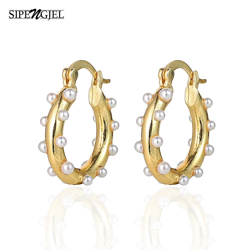 Geometric Circle Pearl Hoop Earrings & Silver Drop Earrings Gift