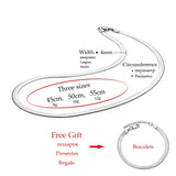 Hot Punk Clavicle Necklace 925 Sterling Silver Collar Necklaces Flat Snake Chain