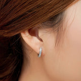 925 Silver Zircon Inlaid Earrings Woman Jewelry Gift