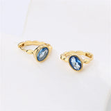Irregular Geometric Hoop Zircon Earrings 925 Sterling Silver