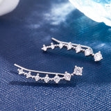925 Sterling Silver Zircon Stud Earrings Rose Jewelry