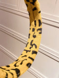 Leopard Print Street Photography Hair Accessories