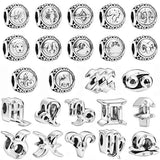 Crystal Twelve Constellations Silver Bead for Bracelet Bangle