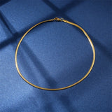 Stainless Steel Blade Necklace Snake Bone Chain Men's & Women's Jewelry