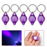 Stainless Steel Ring Drop Earrings