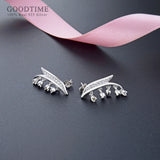 925 Sterling Silver Zircon Earrings for Women