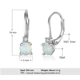 Opal Earrings 925 Sterling Silver Zircon Accessories