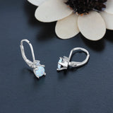Opal Earrings 925 Sterling Silver Zircon Accessories